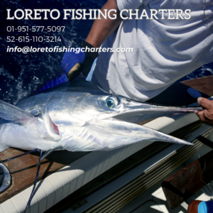 1. Choose the Right Charter Boat: When booking your fishing charter through Loreto Fishing Charters, consider the size of the boat and the number of people in your group. Opt for a boat that suits your needs and provides a comfortable fishing experience.

2. Communicate with the Captain: Before setting out on your fishing trip, communicate with the captain about your fishing preferences, experience level, and the type of fish you want to target. The captain's local knowledge and expertise will greatly enhance your chances of success.

3. Be Prepared with the Right Gear: Make sure to bring appropriate fishing gear, including rods, reels, lines, and hooks. Ask the charter company for recommendations on the best gear for the specific fish species you hope to catch.

4. Follow the Captain's Guidance: Listen attentively to the captain's instructions and follow their guidance during the fishing trip. They have extensive experience and know where the fish are biting, as well as the best techniques to use.

5. Understand Local Fishing Regulations: Familiarize yourself with the local fishing regulations and ensure you have the necessary fishing licenses or permits. Loreto Fishing Charters can provide guidance on obtaining these permits.

6. Stay Alert and Patient: Fishing requires patience and attentiveness. Be observant of your surroundings, watch for signs of fish activity, and be ready to react when a fish bites.

7. Use Proper Bait and Lures: Consult with the captain about the most effective baits and lures for the target fish species in Loreto. They can recommend the best type of bait to use for each situation.

8. Time Your Fishing Trip: The time of day and tide can greatly impact your fishing success. Discuss with the captain the best times for fishing and plan your trip accordingly.

9. Practice Catch and Release: Promote sustainable fishing practices by practicing catch and release whenever possible. This helps preserve fish populations and habitats for future generations.

10. Enjoy the Experience: Remember to enjoy the fishing experience in Loreto. Take in the stunning scenery, savor the moments with friends and family, and appreciate the opportunity to fish in this remarkable location.

By following these fishing tips and booking through Loreto Fishing Charters, you'll be well-prepared and have a higher chance of landing the fish of a lifetime in the beautiful waters of Loreto, Baja Sur.