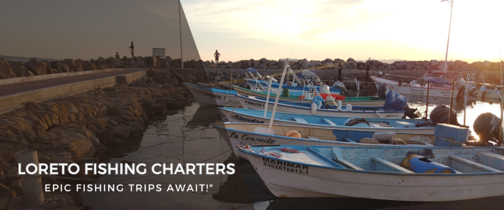 loreto fishing charters