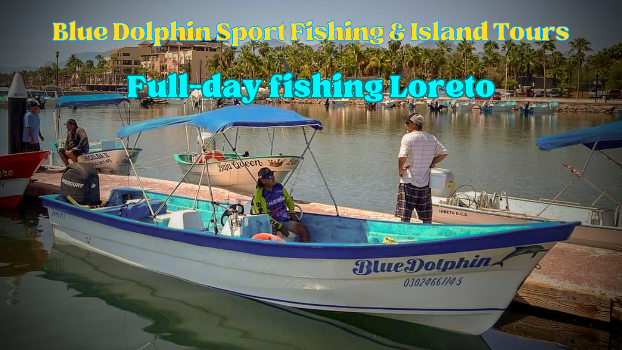 Blue Dolphin Sport Fishing & Island Tours(1)