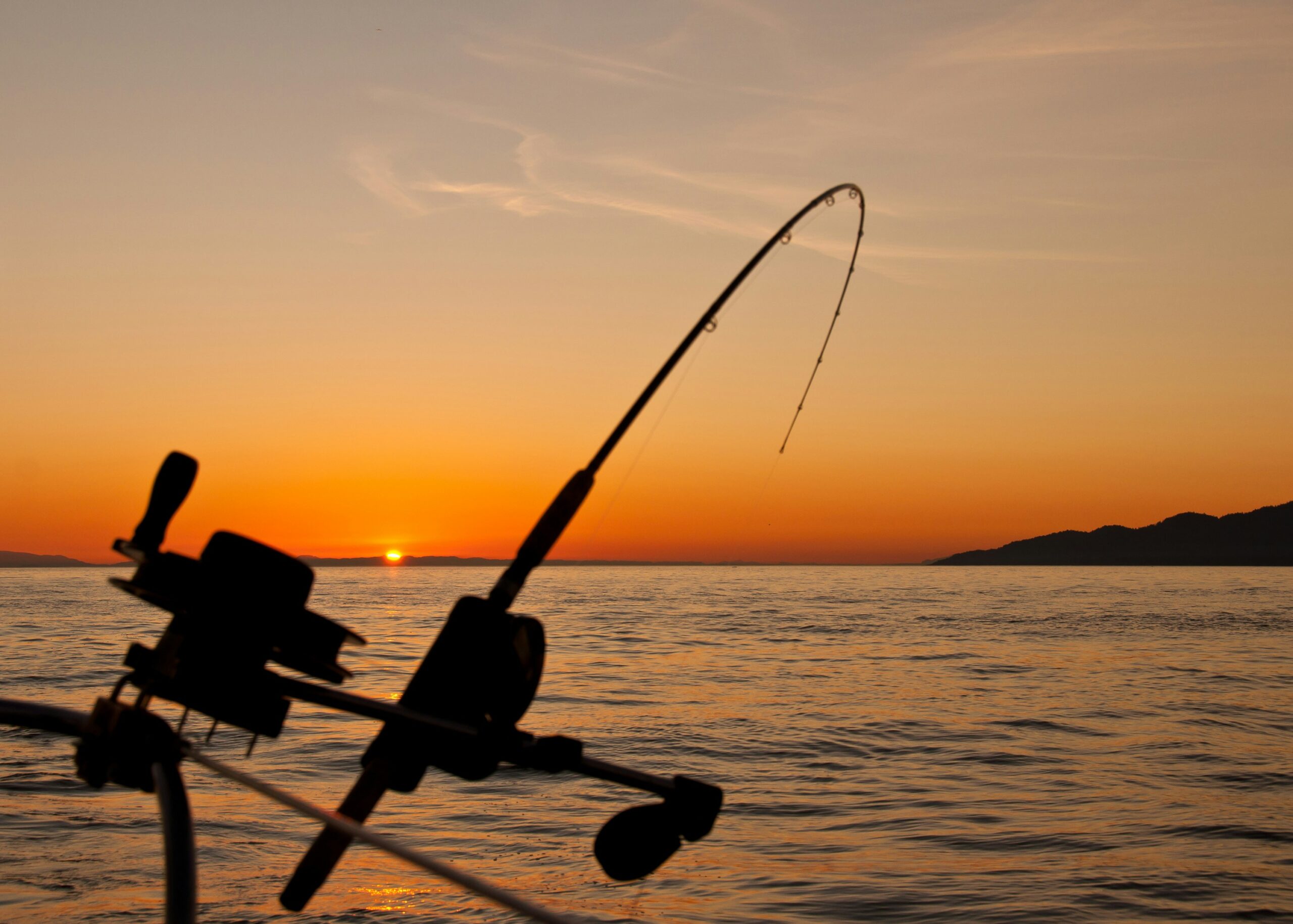 The Ultimate Guide to Booking the Best Fishing Charters and Party
